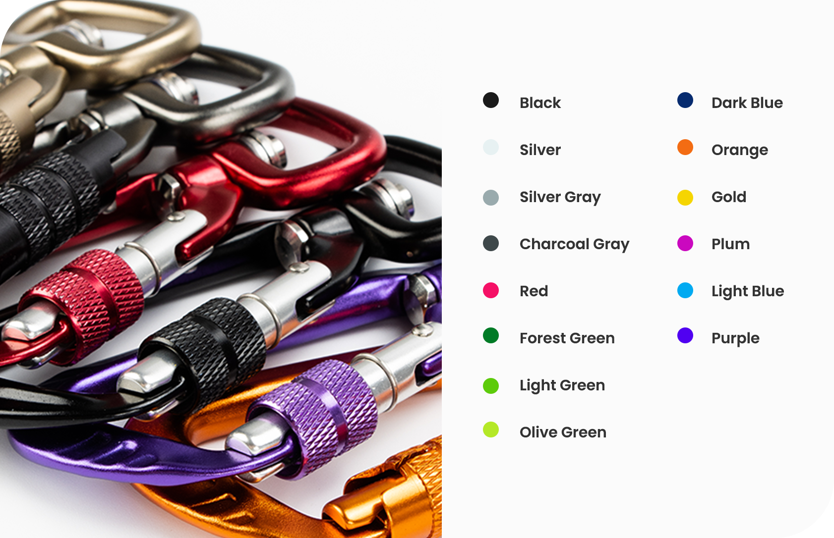 Color Customization