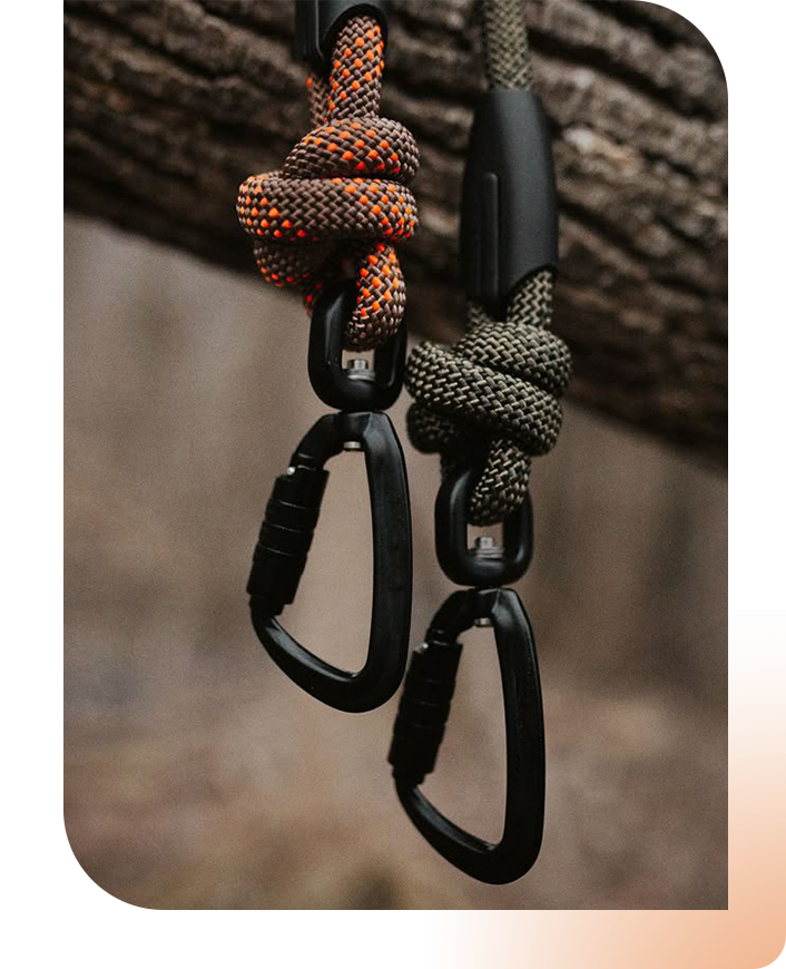 Swivel Carabiner